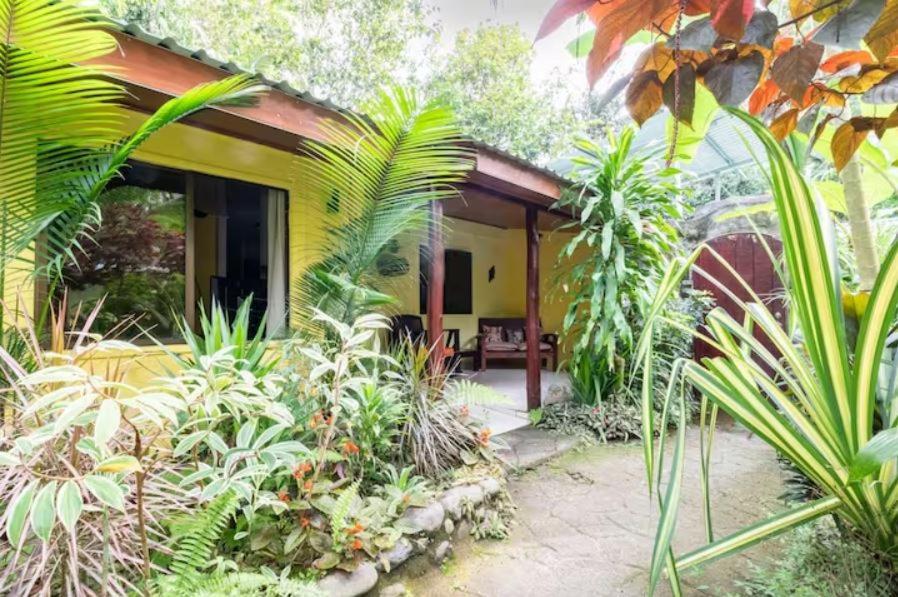 Casa Caribbean Coconut Hotel Кахуита Екстериор снимка
