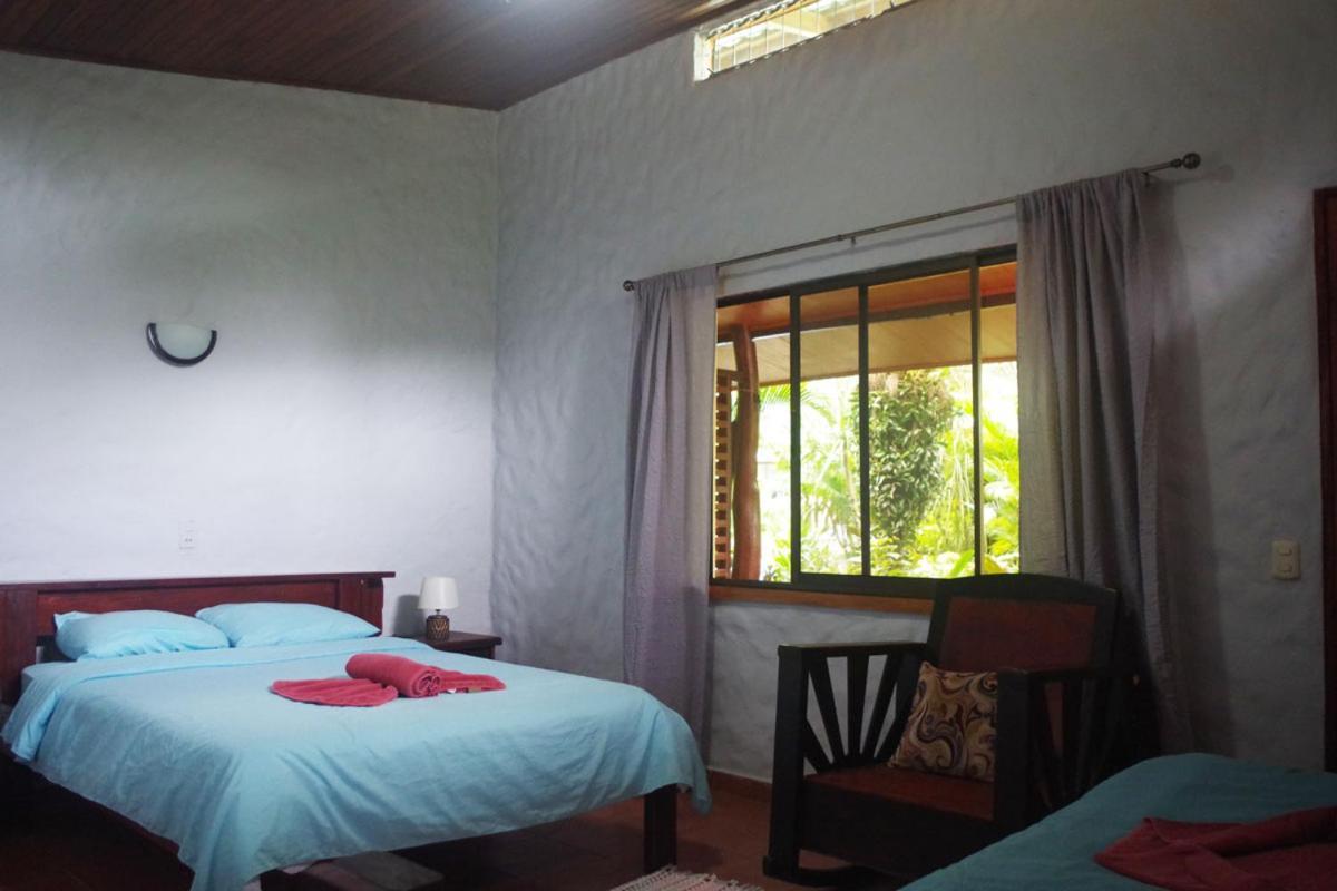 Casa Caribbean Coconut Hotel Кахуита Екстериор снимка