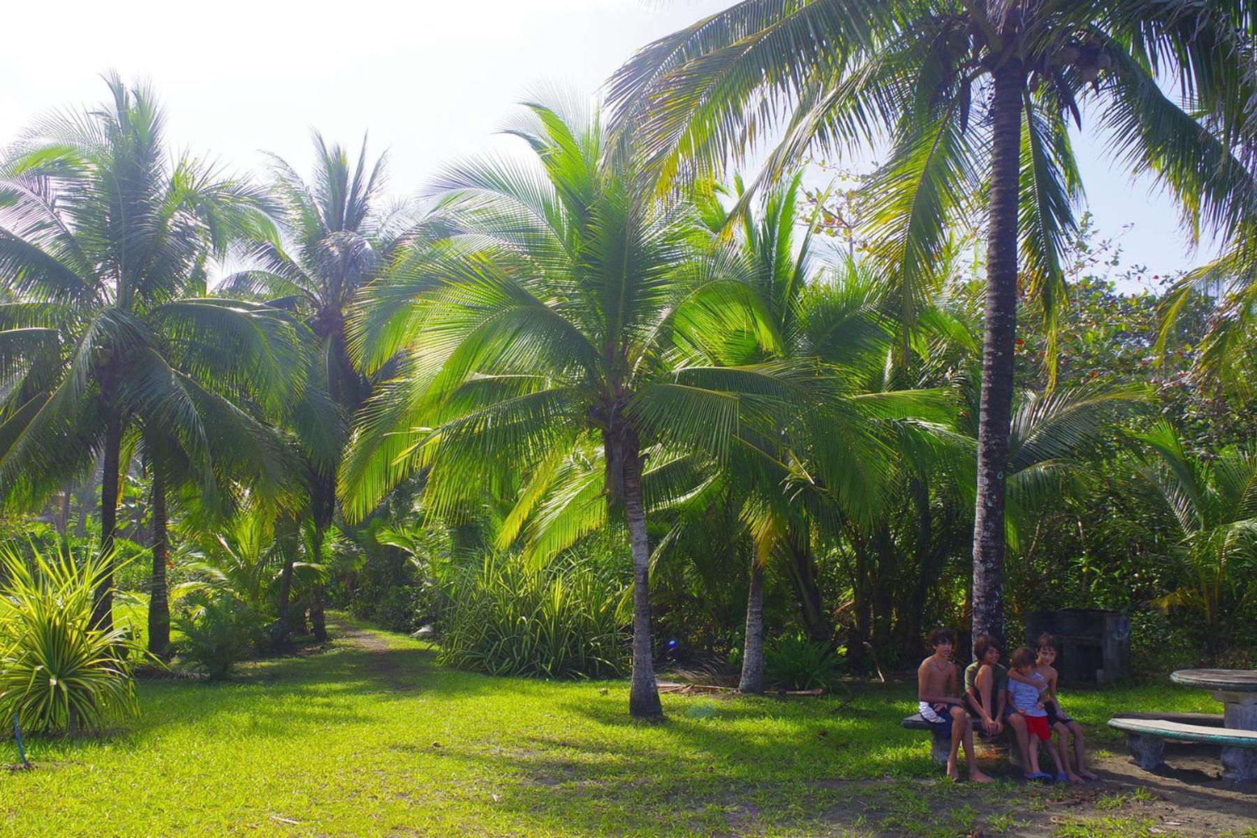 Casa Caribbean Coconut Hotel Кахуита Екстериор снимка